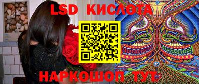 стафф Бийск