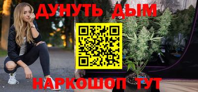 стафф Бийск