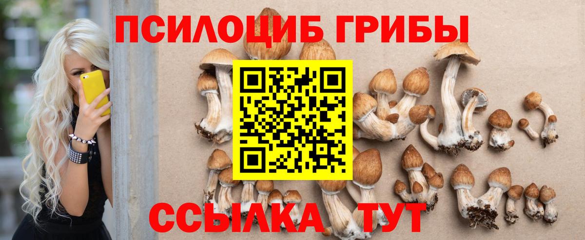 Псилоцибиновые грибы Psilocybe  Вход с VPN  Ковров  Псилоцибиновые грибы мицелий 